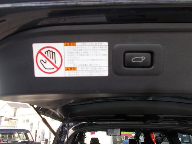 アルファード ２．５Ｓ　タイプゴールド　フルセグ　メモリーナビ　ＤＶＤ再生　後席モニター　バックカメラ　衝突被害軽減システム　ＥＴＣ　両側電動スライド　ＬＥＤヘッドランプ　乗車定員７人　３列シート　ワンオーナー（19枚目）