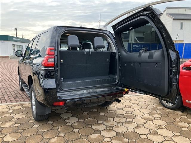 ランドクルーザープラド ＴＸ　Ｌパッケージ　革シート　サンルーフ　４ＷＤ　バックカメラ　衝突被害軽減システム　ＥＴＣ　ドラレコ　ＬＥＤヘッドランプ　乗車定員７人　３列シート　ワンオーナー（34枚目）