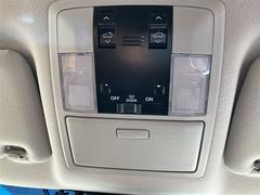 ���ɥ��롼�����ץ�� �ԣء��̥ѥå��������ץ����ȡ�����롼�ա����ף� 1002219A20251213T007 5