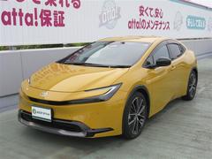 ץꥦ ڡե륻꡼ʥӡХå顡ﳲڸƥ 1002223A20250517T006 3