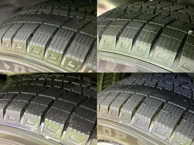 �u���̎Ԃ̎ʐ^�������ƌ������v�u��Ԃ��C�ɂȂ�v�u���̑����͂��Ă���H�v�ǂ�ȏ����ȋ^��ł����C�y�ɂ��₢���킹���������I