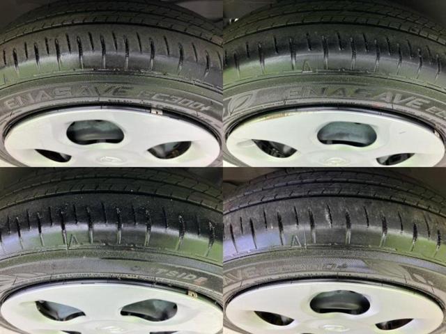 �u���̎Ԃ̎ʐ^�������ƌ������v�u��Ԃ��C�ɂȂ�v�u���̑����͂��Ă���H�v�ǂ�ȏ����ȋ^��ł����C�y�ɂ��₢���킹���������I