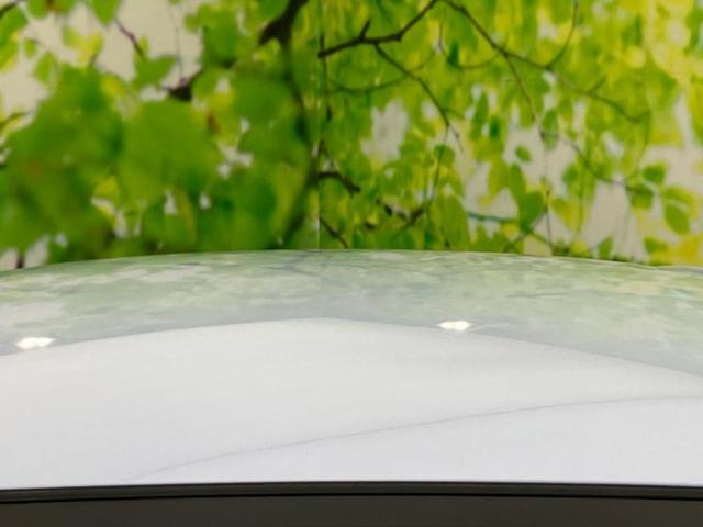 ミライース Ｌ　ＳＡ　新品タイヤ／保証書／スマートアシスト（トヨタ・ダイハツ）／ＥＢＤ付ＡＢＳ／横滑り防止装置／アイドリングストップ／エアバッグ　運転席／エアバッグ　助手席／衝突安全ボディ／パワーウインドウ　盗難防止装置（46枚目）