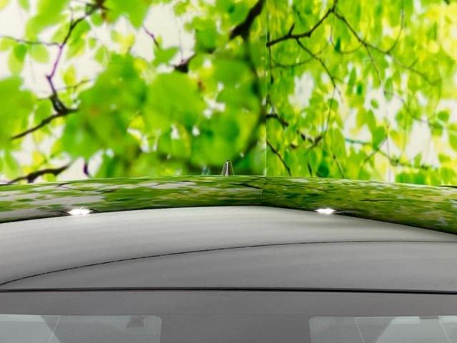 プリウス Sセーフティプラス 保証書/純正 9インチ SDナビ/トヨタセーフティセンス/車線逸脱防止支援システム/ドライブレコーダー 純正/ヘッドランプ LED/Bluetooth接続/ETC/EBD付ABS/横滑り防止装置(48枚目)