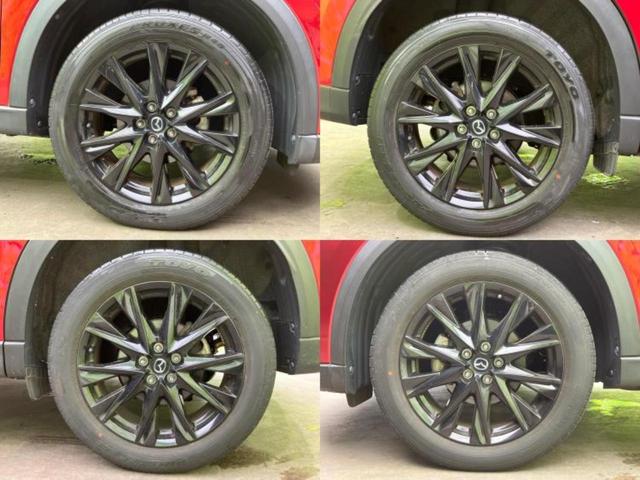 ＷＥＣＡＲＳの展示場では実際に見て、触ってお車をお選びいただけます！知識の豊富な営業スタッフが様々なカーライフをご提案いたします！