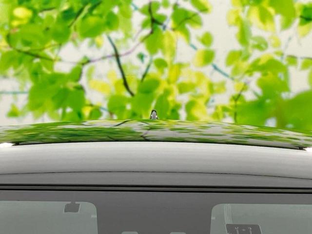 ライズ Ｚ　保証書／ディスプレイオーディオ９インチ／スマートアシスト（トヨタ・ダイハツ）／シートヒーター　前席／パノラミックビューモニター／車線逸脱防止支援システム／ドライブレコーダー　前後　衝突被害軽減システム（49枚目）