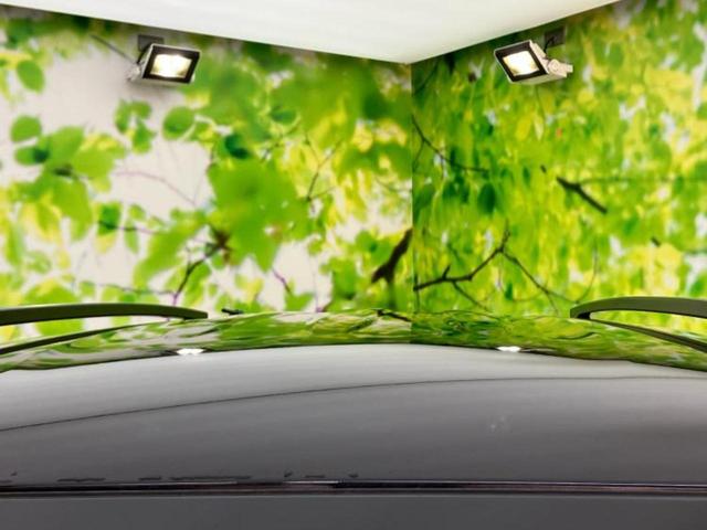 デリカミニ 4WD Tプレミアム 新品タイヤ/社外 ナビ/デジタルルームミラー/イーアシスト(ミツビシ)/両側電動スライドドア/シートヒーター 前席/マルチアラウンドモニター/車線逸脱防止支援システム/ドライブレコーダー 社外 ターボ(48枚目)