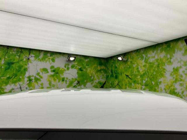 ミニキャブバン G 保証書/社外 メモリーナビ/イーアシスト(ミツビシ)/シートヒーター 運転席/車線逸脱防止支援システム/ヘッドランプ LED/Bluetooth接続/EBD付ABS/横滑り防止装置 LEDヘッドランプ(41枚目)