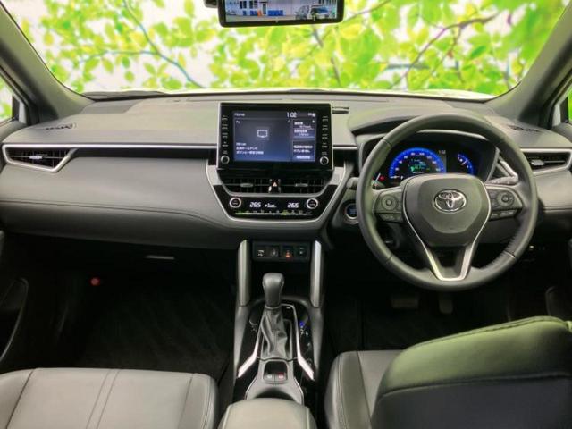 �u���̎Ԃ̎ʐ^�������ƌ������v�u��Ԃ��C�ɂȂ�v�u���̑����͂��Ă���H�v�ǂ�ȏ����ȋ^��ł����C�y�ɂ��₢���킹���������I