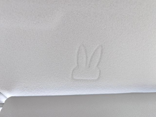 アルトラパンＬＣ Ｘ　デュアルカメラブレーキサポート　純正７インチディスプレイオーディオ　バックアイカメラ　禁煙車　ＬＥＤヘッドライト　オートライト　オートハイビーム　フルオートエアコン　キーレスプッシュスタート（53枚目）