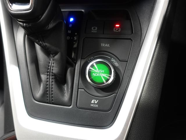 RAV4 ハイブリッドG 4WD メモリーナビ ミュージックプレイヤー接続可 バックカメラ 衝突被害軽減システム ETC ドラレコ LEDヘッドランプ ワンオーナー 記録簿(29枚目)