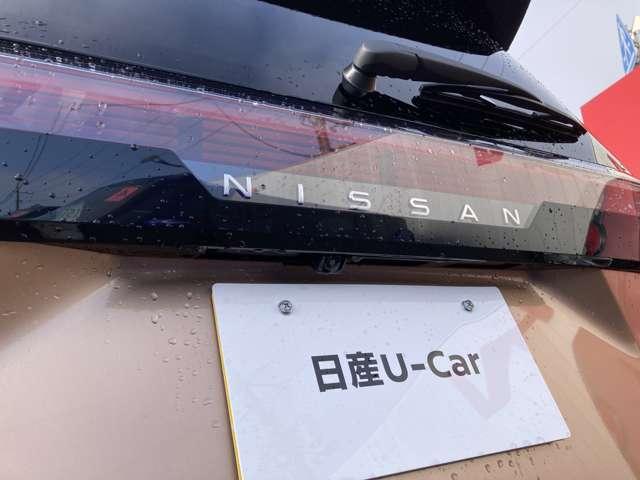 サクラ Ｘ（16枚目）