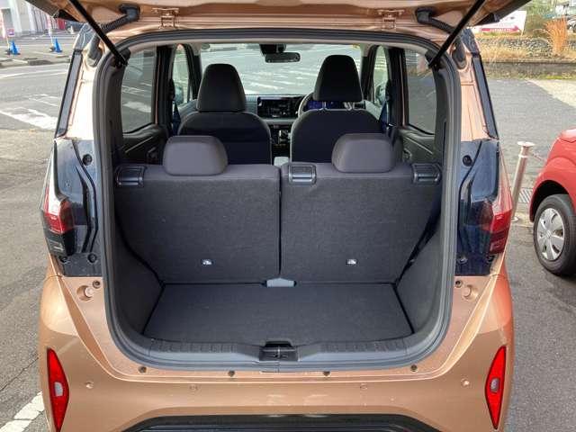 サクラ Ｘ（17枚目）