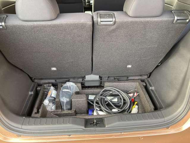 サクラ Ｘ（18枚目）