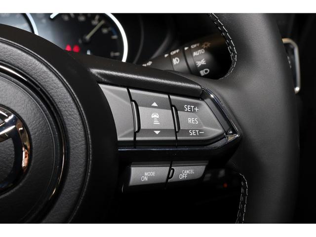 XD Lpkg 6人 BOSE 360度ビュー ルーフレール(10枚目)