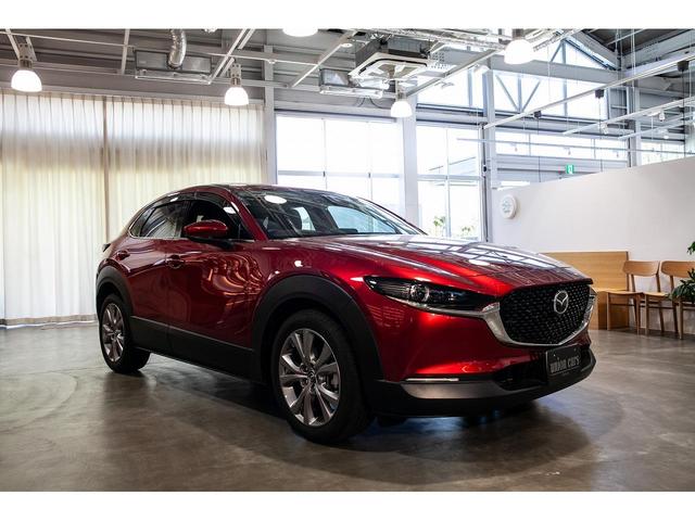 ＣＸ－３０ ＸＤ　Ｌパッケージ　マツダコネクトナビ　ＥＴＣ　３６０°ビューモニター　ＢＯＳＥサウンドシステム　ＣＤ／ＤＶＤ　クルーズコントロール　パワーバックドア　ＬＥＤヘッドライト　純正アルミ（56枚目）