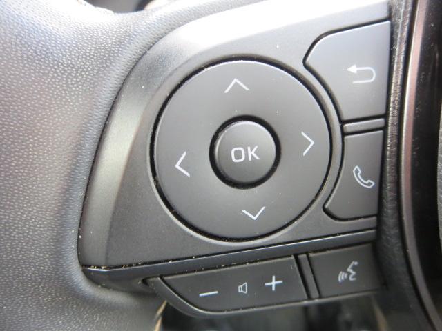 カローラツーリング ハイブリッド ダブルバイビー(23枚目)