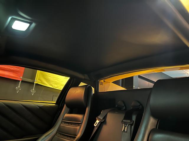 ディアブロ VT(12枚目)