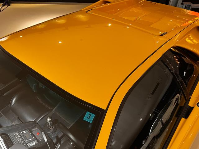 ディアブロ VT(24枚目)