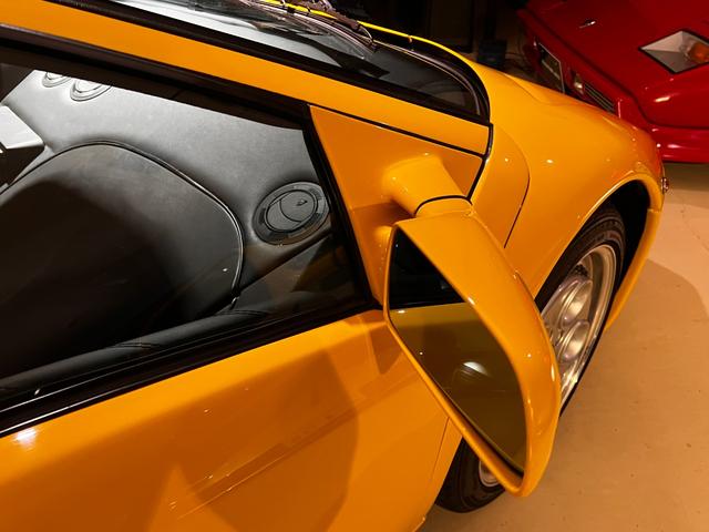 ディアブロ VT(26枚目)