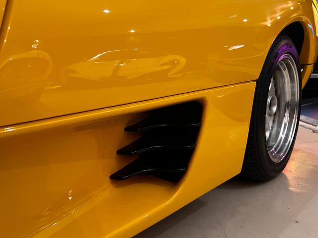 ディアブロ VT(27枚目)