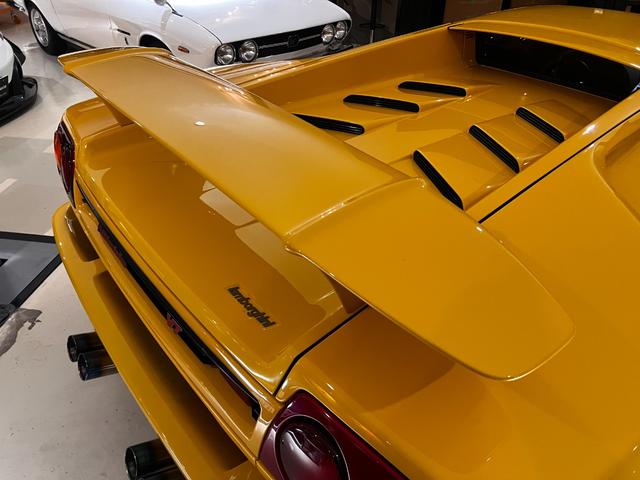 ディアブロ VT(34枚目)