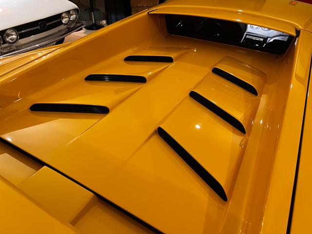 ディアブロ VT(36枚目)