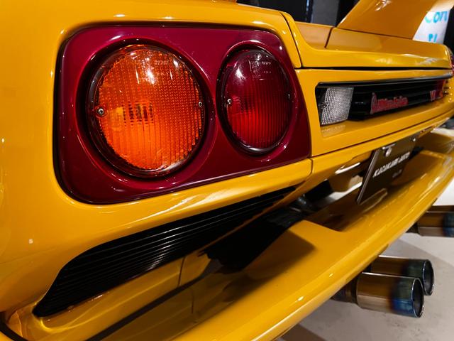 ディアブロ VT(37枚目)