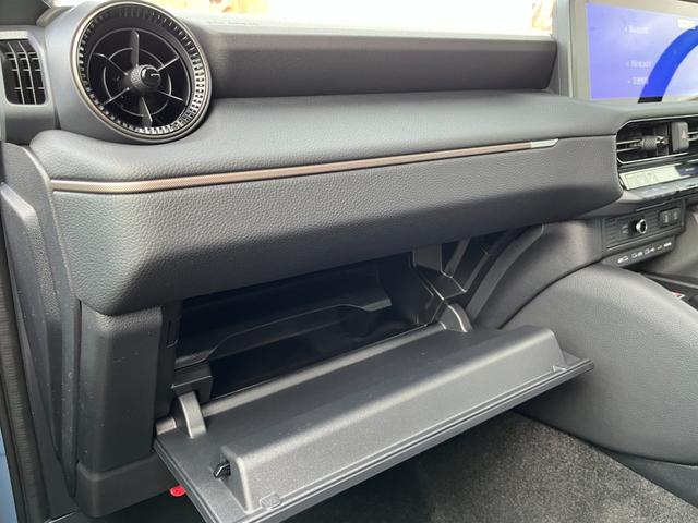 ランドクルーザー２５０ ＺＸ（31枚目）