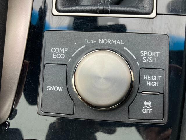 ＬＳ ＬＳ４６０　Ｆスポーツ　後期型・サンルーフ・黒革パワーシート・ＷＯＲＫ２０インチアルミ・エアサスコントローラー・パワートランク・前後ドラレコ・オートクルーズ！（40枚目）