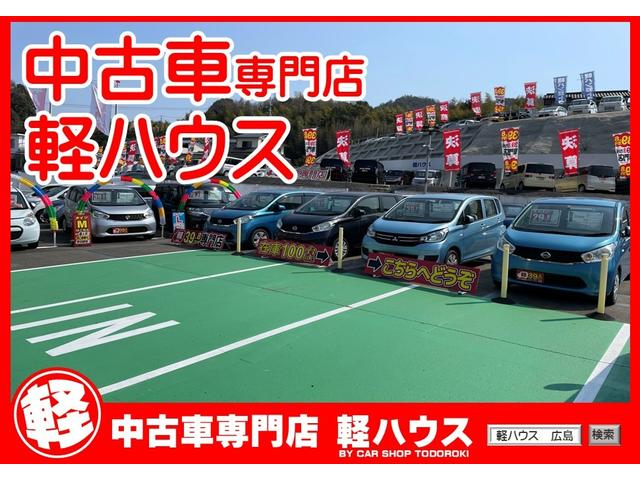 Ｅ　ｅ－アシスト　衝突被害軽減ブレーキ　キーレス　社外ナビ　バックカメラ　運転席シートヒーター　横滑り防止システム　ダブルエアバッグ　ＥＴＣ(48枚目)