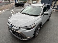 �����ʡ����󥵡����롼�ե졼�롡�ѥ�����ȡ������ȥҡ��������ѥ�Хå��ɥ��������ǥ����ץ쥤�����ǥ������գӣ¡��£����������衡�������������饦��ɥӥ塼��˥��� 5