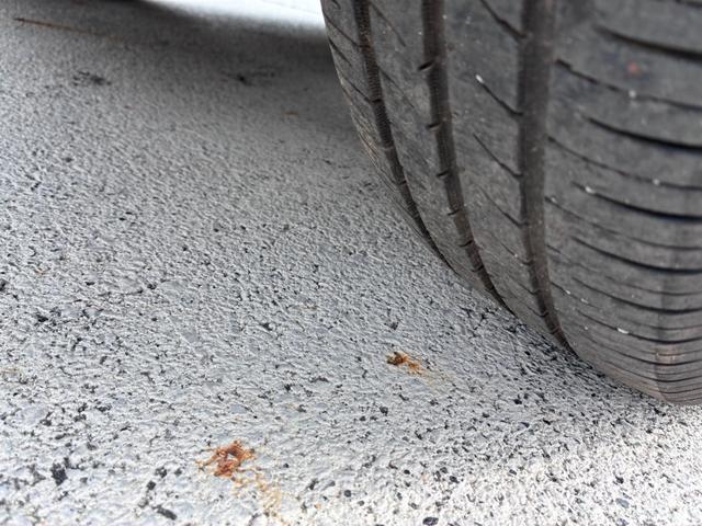 タント Ｘ　ＳＡ　ウエルカムシート　福祉車両　衝突被害軽減システム　左リアパワースライドドア　ワンセグナビ　ｂｌｕｅｔｏｏｔｈ　ドライブレコーダー　ＨＤＭＩ　バックカメラ　アイドリングストップ　１４インチアルミホイール（64枚目）