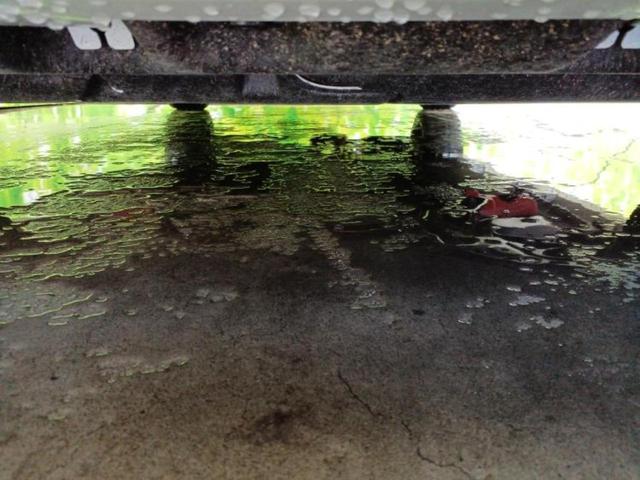 �v�d�b�`�q�r�i�E�B�[�J�[�Y�j�͑S���Q�T�O�X�ܓW�J�I��Ƃ̓s����A�ԗ������������Ȃ��ꍇ���������܂��B���X�O�ɂ��⍇��������