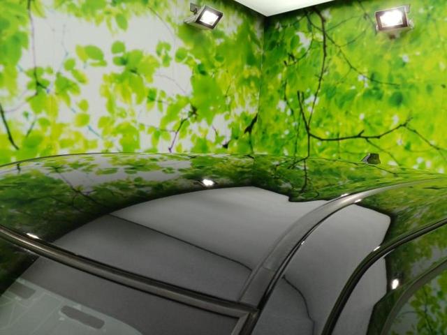 ライズ ハイブリッドＺ　純正　９インチ　ＳＤナビ／衝突安全装置／シートヒーター　前席／パノラミックビューモニター／車線逸脱防止支援システム／パーキングアシスト　バックガイド／ドライブレコーダー　社外　衝突被害軽減システム（46枚目）