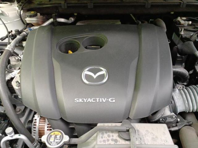 �S���ɓX�܂�W�J���Ă���̂łǂ��ł������񂹂��\�ł��I���̎Ԃ��C�ɂȂ邯�ǉ���������E�E�E�ƒ��߂�K�v�͂���܂���I���ʓr������K�v�ł��B