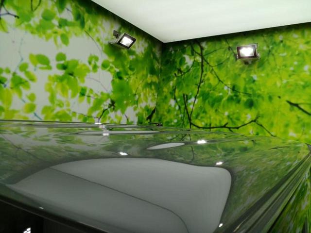 ジムニー 4WD XC 保証書/社外 9インチ SDナビ/衝突安全装置/シートヒーター 前席/車線逸脱防止支援システム/ヘッドランプ LED/Bluetooth接続/ETC/EBD付ABS/横滑り防止装置 LEDヘッドランプ(46枚目)