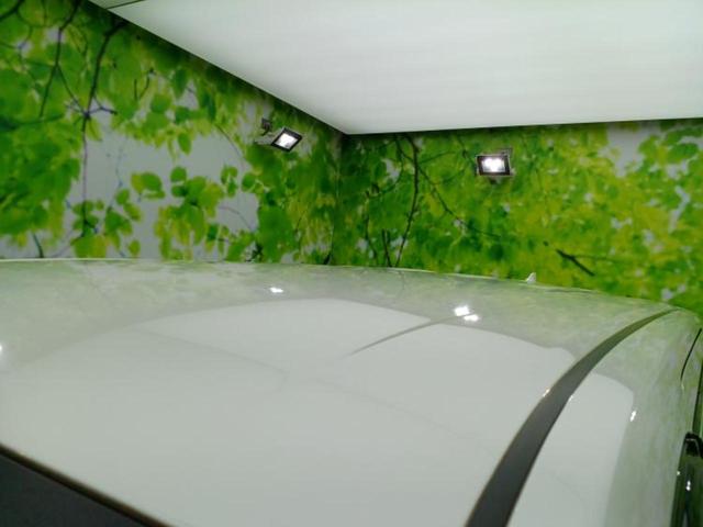 アルファード S Cパッケージ ディスプレイオーディオ+ナビ9インチ/フリップダウンモニター 純正 12.8インチ/衝突安全装置/両側電動スライドドア/エアーシート 前席/車線逸脱防止支援システム/シート 合皮 衝突被害軽減システム(47枚目)