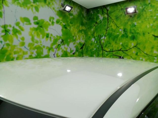 Ｎ－ＯＮＥ Ｇ・Ｌパッケージ　社外　ＳＤナビ／ヘッドランプ　ＨＩＤ／Ｂｌｕｅｔｏｏｔｈ接続／ＥＴＣ／ＥＢＤ付ＡＢＳ／横滑り防止装置／アイドリングストップ／バックモニター／フルセグＴＶ／ＤＶＤ／エアバッグ　サイド／衝突安全ボディ（48枚目）