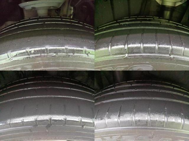 �u���̎Ԃ̎ʐ^�������ƌ������v�u��Ԃ��C�ɂȂ�v�u���̑����͂��Ă���H�v�ǂ�ȏ����ȋ^��ł����C�y�ɂ��₢���킹���������I