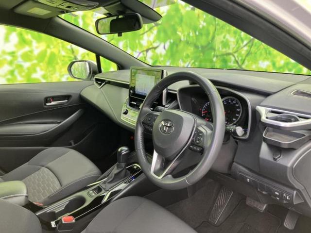 �u���̎Ԃ̎ʐ^�������ƌ������v�u��Ԃ��C�ɂȂ�v�u���̑����͂��Ă���H�v�ǂ�ȏ����ȋ^��ł����C�y�ɂ��₢���킹���������I