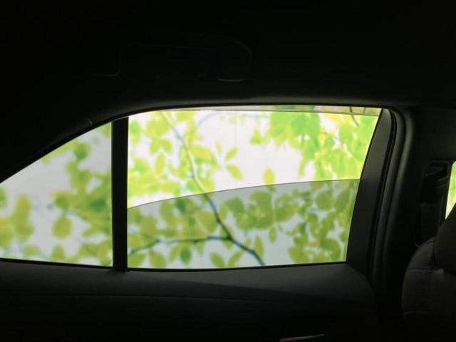 �v�d�b�`�q�r�̓W����ł͎��ۂɌ��āA�G���Ă��Ԃ����I�т��������܂��I�m���̖L�x�ȉc�ƃX�^�b�t���l�X�ȃJ�[���C�t������Ă������܂��I