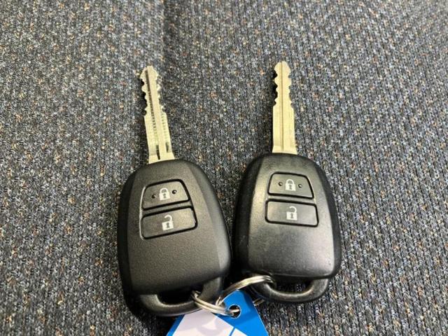 �u���̎Ԃ̎ʐ^�������ƌ������v�u��Ԃ��C�ɂȂ�v�u���̑����͂��Ă���H�v�ǂ�ȏ����ȋ^��ł����C�y�ɂ��₢���킹���������I