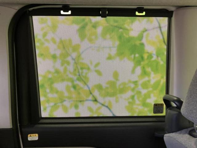 �u���̎Ԃ̎ʐ^�������ƌ������v�u��Ԃ��C�ɂȂ�v�u���̑����͂��Ă���H�v�ǂ�ȏ����ȋ^��ł����C�y�ɂ��₢���킹���������I