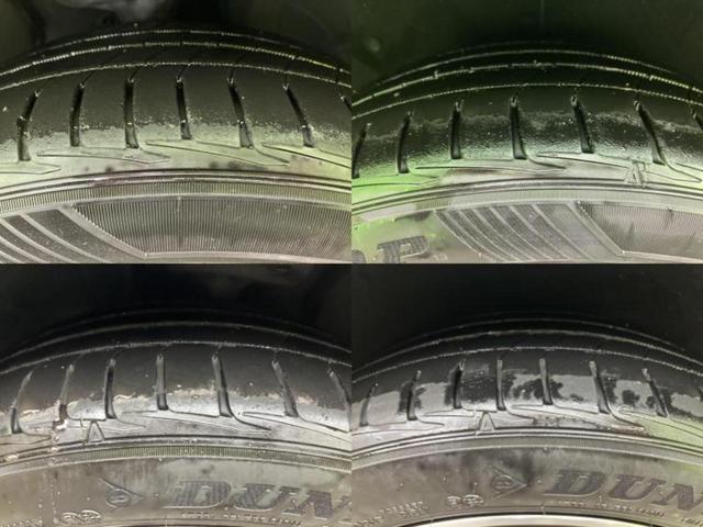 �u���̎Ԃ̎ʐ^�������ƌ������v�u��Ԃ��C�ɂȂ�v�u���̑����͂��Ă���H�v�ǂ�ȏ����ȋ^��ł����C�y�ɂ��₢���킹���������I