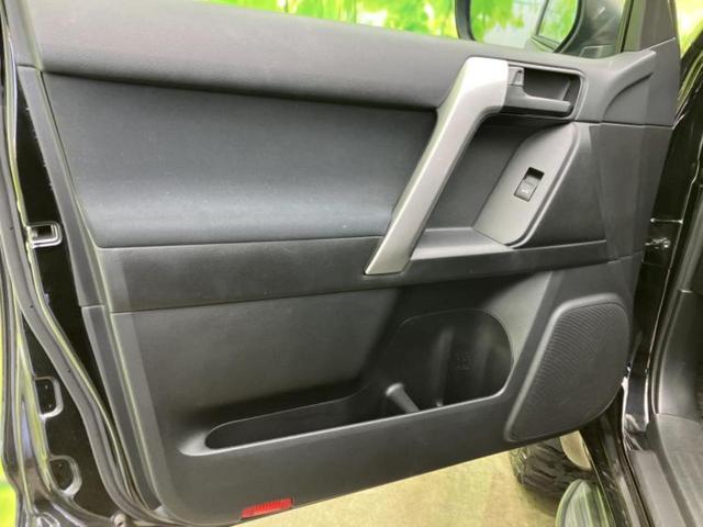 �u���̎Ԃ̎ʐ^�������ƌ������v�u��Ԃ��C�ɂȂ�v�u���̑����͂��Ă���H�v�ǂ�ȏ����ȋ^��ł����C�y�ɂ��₢���킹���������I