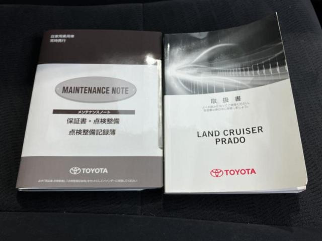 �u���̎Ԃ̎ʐ^�������ƌ������v�u��Ԃ��C�ɂȂ�v�u���̑����͂��Ă���H�v�ǂ�ȏ����ȋ^��ł����C�y�ɂ��₢���킹���������I