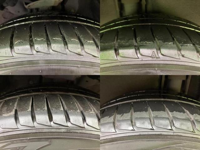 �u���̎Ԃ̎ʐ^�������ƌ������v�u��Ԃ��C�ɂȂ�v�u���̑����͂��Ă���H�v�ǂ�ȏ����ȋ^��ł����C�y�ɂ��₢���킹���������I