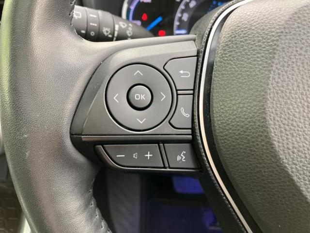 �v�d�b�`�q�r�̓W����ł͎��ۂɌ��āA�G���Ă��Ԃ����I�т��������܂��I�m���̖L�x�ȉc�ƃX�^�b�t���l�X�ȃJ�[���C�t������Ă������܂��I