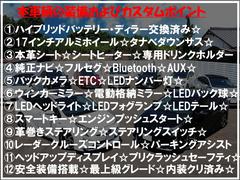 ϡץꥦǾ饰졼ɡǥġ󥰥쥯쥶ѥå꡼˥󥰺Ѥߡܡ 2